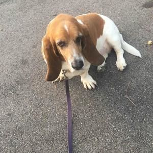 Meet your Posher, Thalia